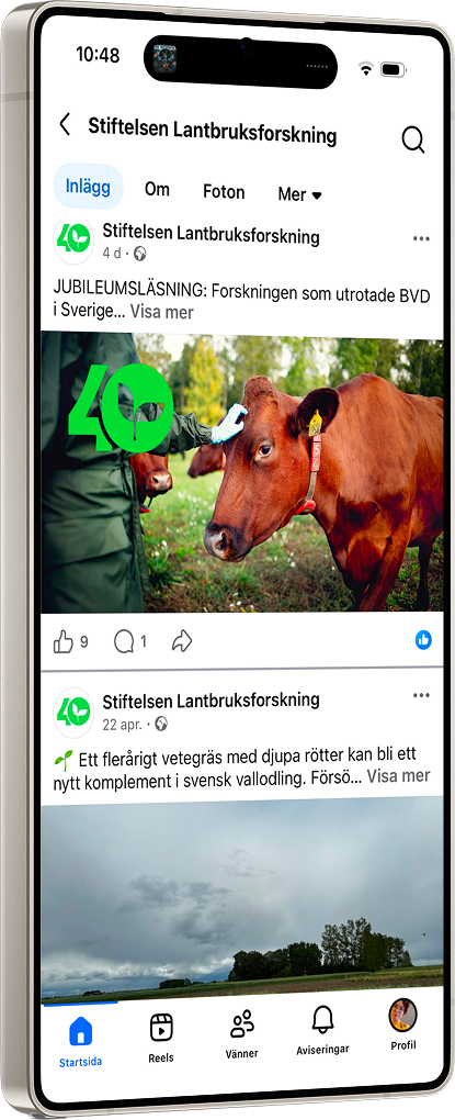 Telefon med vårt facebookflöde. 